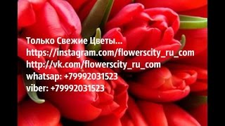 Только свежие Цветы- интернет магазин(, 2015-09-06T15:02:32.000Z)